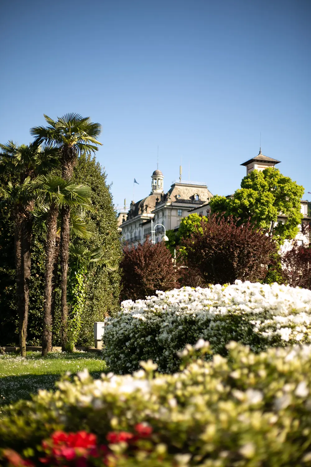 Historic centre of Stresa with palm trees and terraced gardens